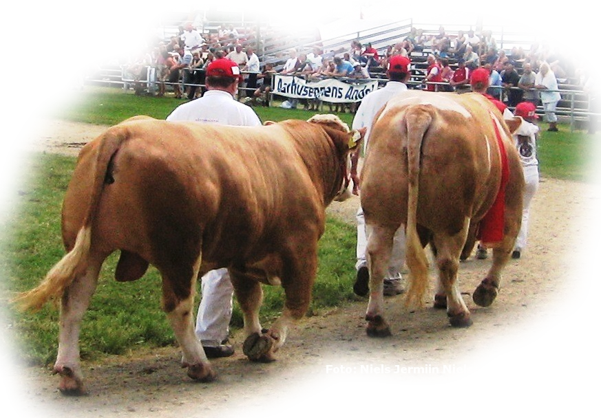 Landsskuet