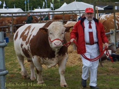 sneumgaard Isidor P aabenraa 2015