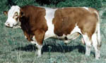 sh-romolus-f53r-excel