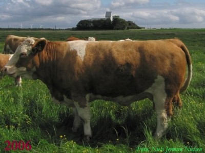 Sneumgaard Thelma
