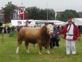dyrskuer015-exitus-ribe-dyrskue-2011-exodus-son