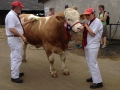 national-show-2014-02