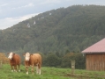 tysklandstur-2014-101