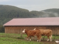 tysklandstur-2014-103