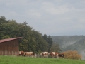 tysklandstur-2014-117