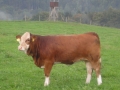 tysklandstur-2014-118
