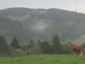 tysklandstur-2014-121