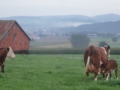tysklandstur-2014-165