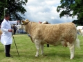 Simmental World Congress 2008 (15)
