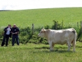 Simmental World Congress 2008 (199)