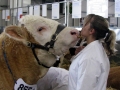 Simmental World Congress 2008 (29)