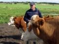 Gerard Brickley, Celtic Pedigree Herd simmental